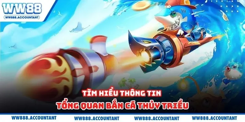 Tìm hiểu thông tin tổng quan bắn cá thủy triều
