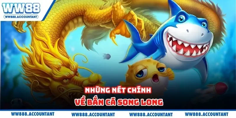 Những nét chính về bắn cá song long