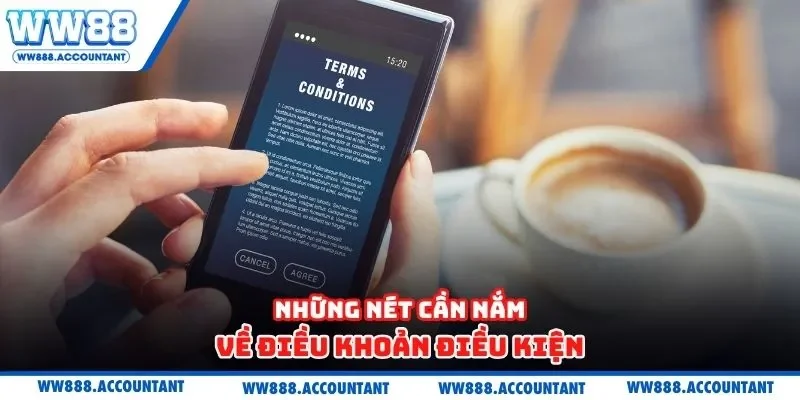Những nét cần nắm về điều khoản điều kiện