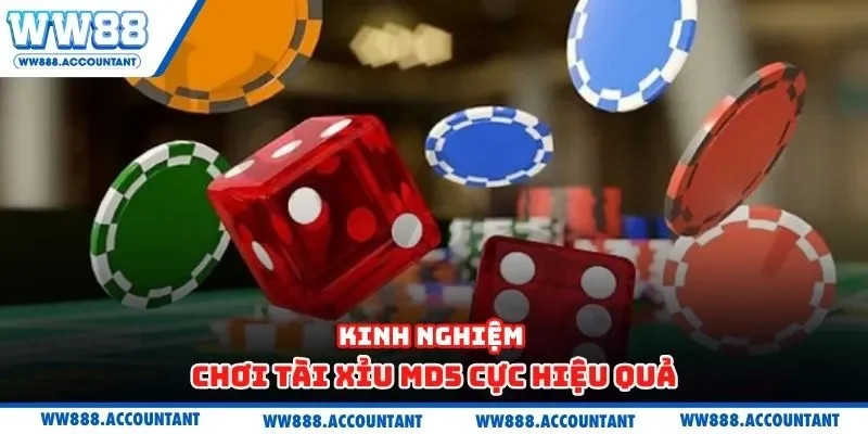 Kinh nghiệm chơi tài xỉu MD5 cực hiệu quả